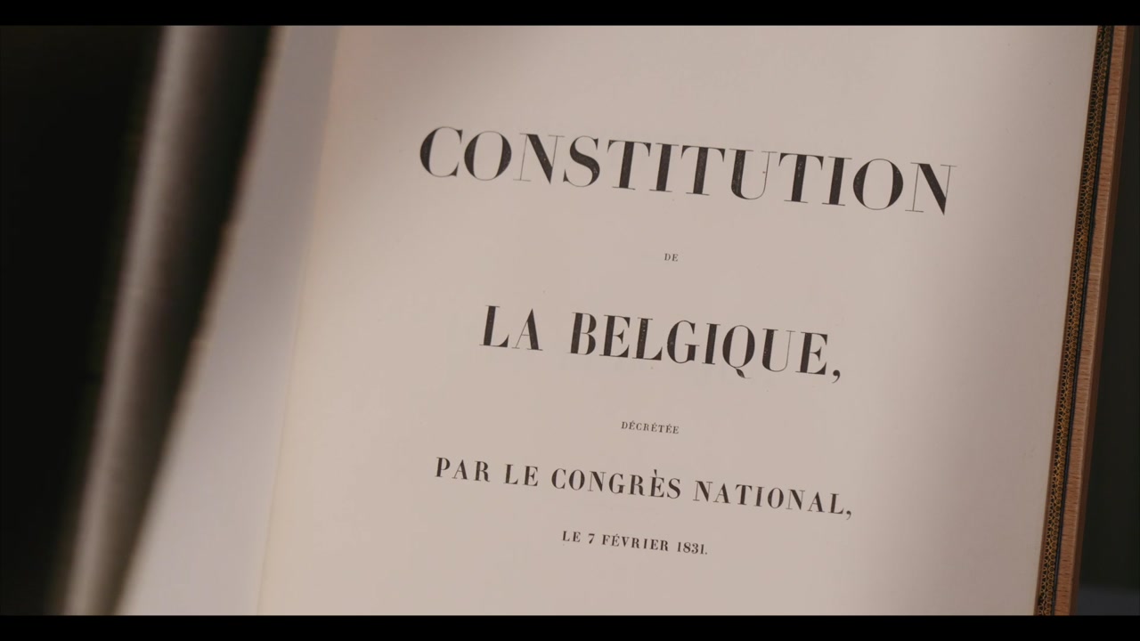 Einleitung eines Verfahrens vor dem Verfassungsgerichtshof