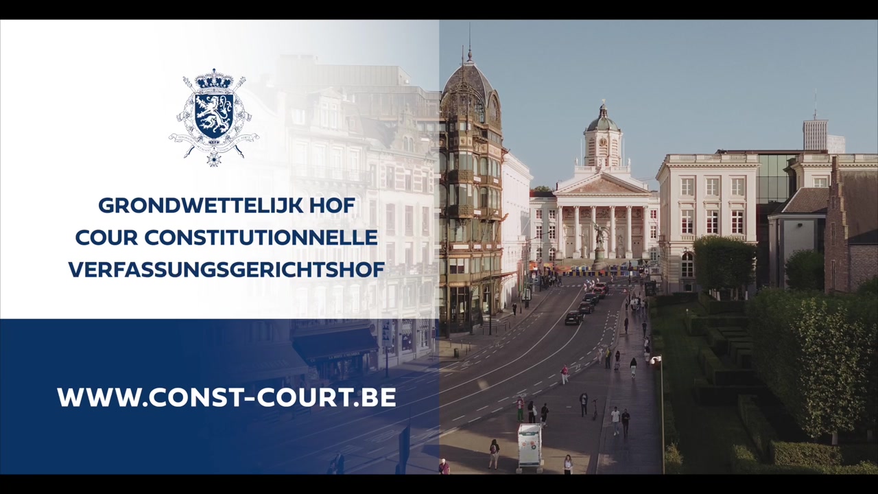 Arbeitsweise des Verfassungsgerichtshofes – Transkription